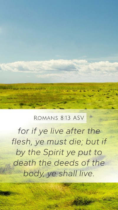 Romans 8:13 ASV Bible Verse Image