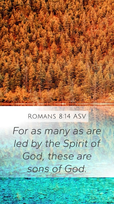 Romans 8:14 ASV Bible Verse Image