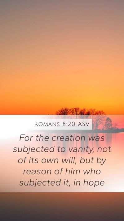 Romans 8:20 ASV Bible Verse Image
