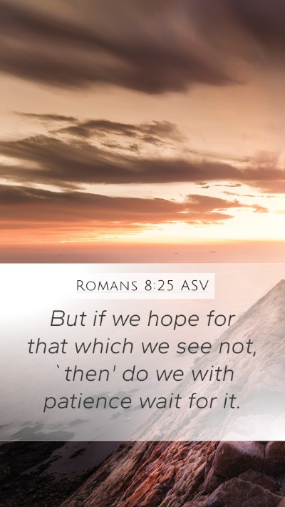 Romans 8:25 ASV Bible Verse Image