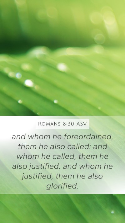 Romans 8:30 ASV Bible Verse Image