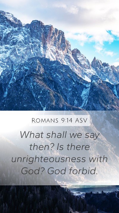 Romans 9:14 ASV Bible Verse Image