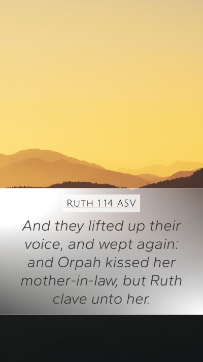 Ruth 1:14 ASV Bible Verse Image