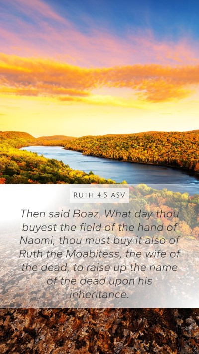 Ruth 4:5 ASV Bible Verse Image