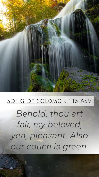 Song of Solomon 1:16 ASV Mobile Phone Wallpaper - Behold, thou art fair, my beloved, yea, pleasant: - Mobile Bible Verse Wallpaper