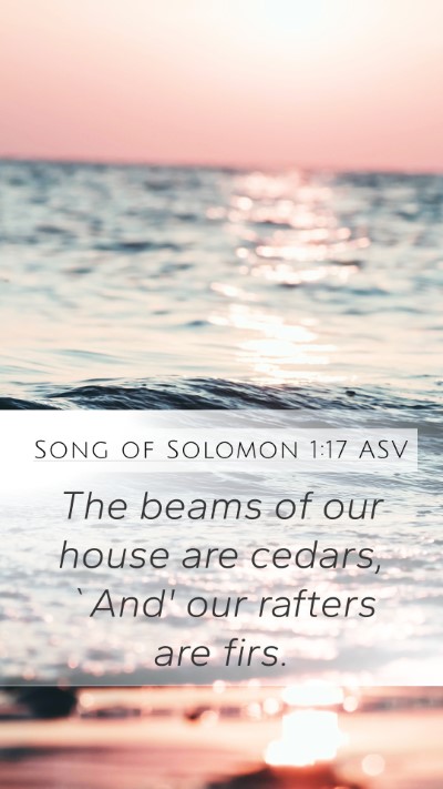 Song of Solomon 1:17 ASV Mobile Phone Wallpaper - The beams of our house are cedars, `And' our - Mobile Bible Verse Wallpaper
