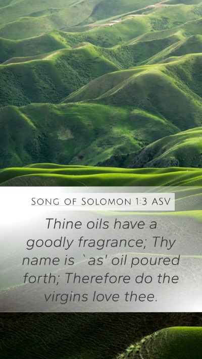 Song of Solomon 1:3 ASV Bible Verse Image
