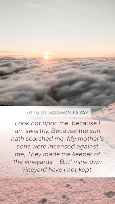 Song of Solomon 1:6 ASV Bible Verse Image