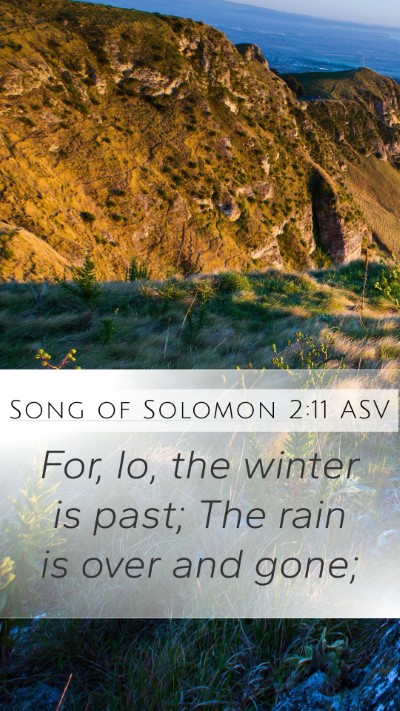 Song of Solomon 2:11 ASV Bible Verse Image