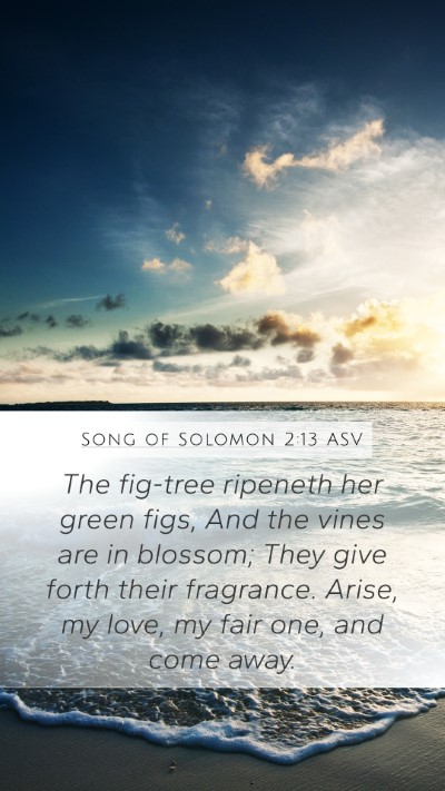 Song of Solomon 2:13 ASV Bible Verse Image