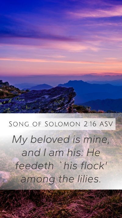 Song of Solomon 2:16 ASV Bible Verse Image