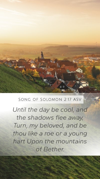 Song of Solomon 2:17 ASV Bible Verse Image
