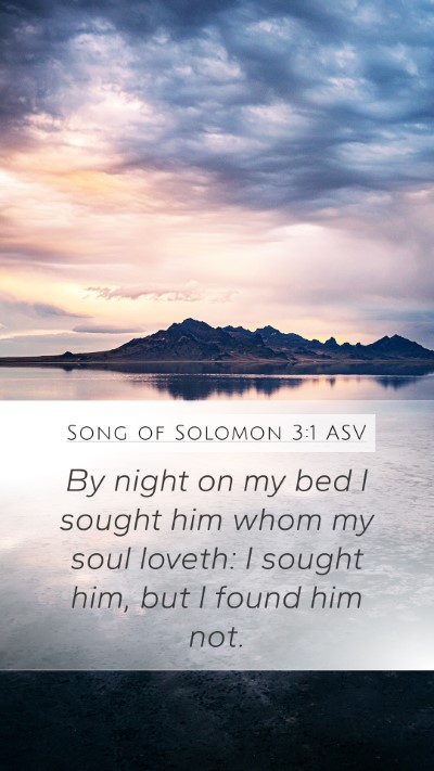 Song of Solomon 3:1 ASV Bible Verse Image