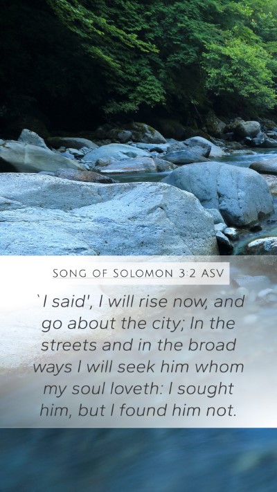 Song of Solomon 3:2 ASV Mobile Phone Wallpaper - `I said', I will rise now, and go about the city; - Mobile Bible Verse Wallpaper