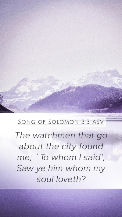 Song of Solomon 3:3 ASV Bible Verse Image