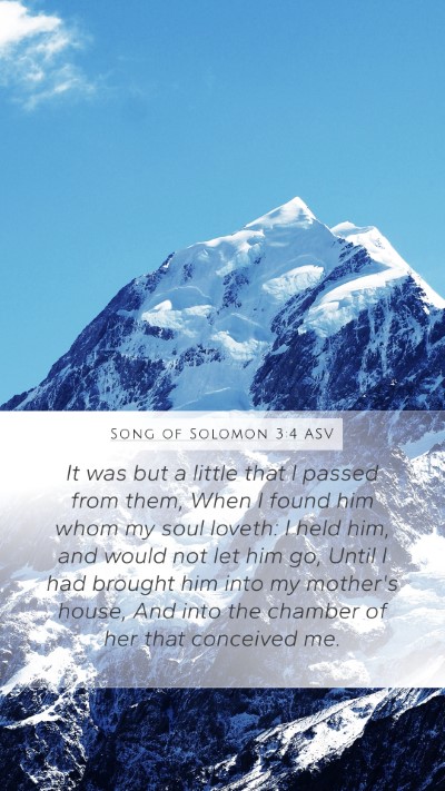 Song of Solomon 3:4 ASV Bible Verse Image