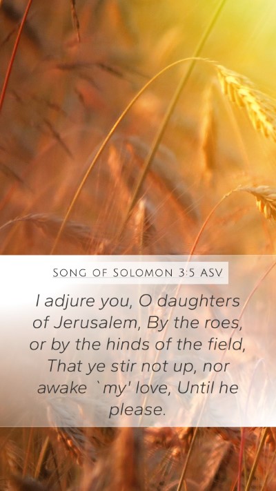Song of Solomon 3:5 ASV Bible Verse Image