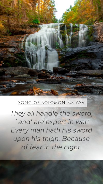 Song of Solomon 3:8 ASV Mobile Phone Wallpaper - They all handle the sword, `and' are expert in - Mobile Bible Verse Wallpaper