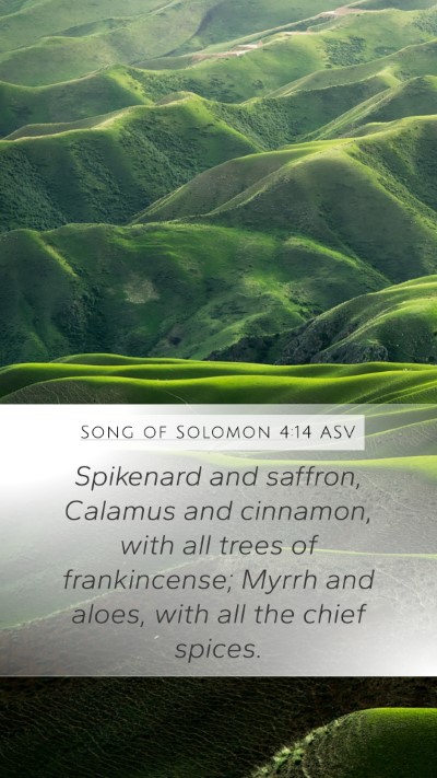 Song of Solomon 4:14 ASV Bible Verse Image