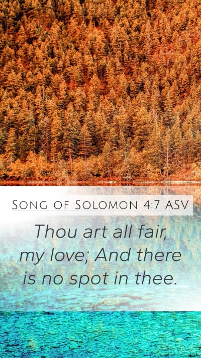 Song of Solomon 4:7 ASV Bible Verse Image