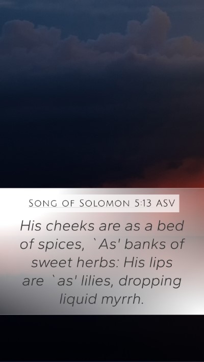 Song of Solomon 5:13 ASV Bible Verse Image