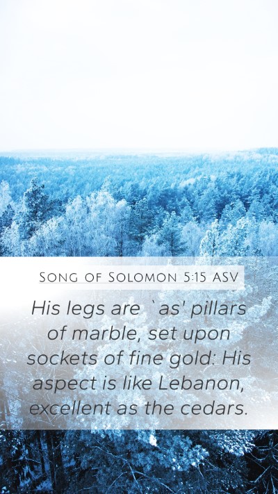 Song of Solomon 5:15 ASV Bible Verse Image