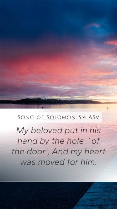 Song of Solomon 5:4 ASV Mobile Phone Wallpaper - My beloved put in his hand by the hole `of the - Mobile Bible Verse Wallpaper