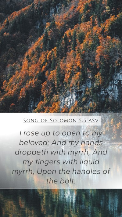 Song of Solomon 5:5 ASV Bible Verse Image