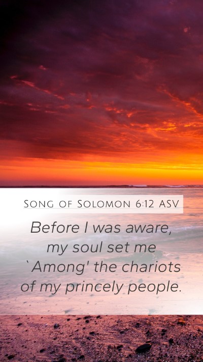 Song of Solomon 6:12 ASV Mobile Phone Wallpaper - Before I was aware, my soul set me `Among' the - Mobile Bible Verse Wallpaper