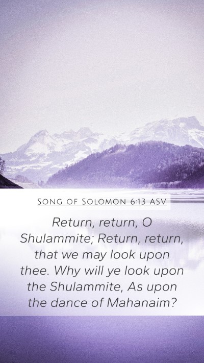 Song of Solomon 6:13 ASV Bible Verse Image