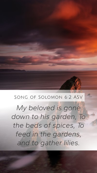 Song of Solomon 6:2 ASV Bible Verse Image