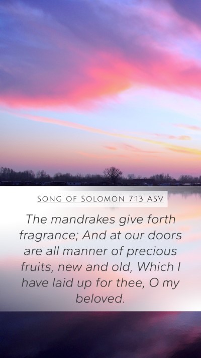 Song of Solomon 7:13 ASV Bible Verse Image