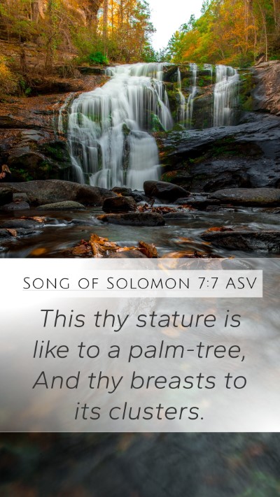 Song of Solomon 7:7 ASV Bible Verse Image
