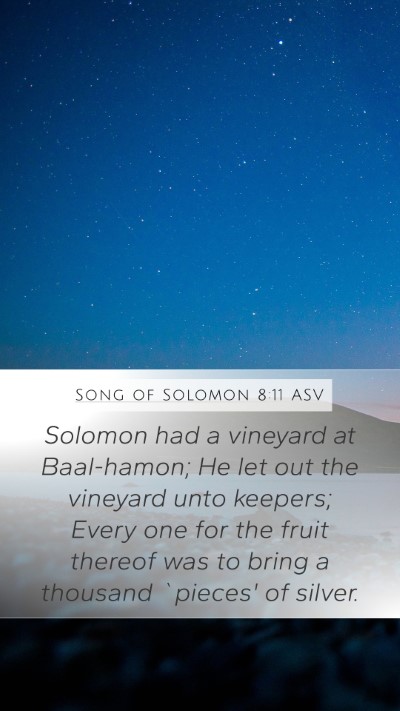 Song of Solomon 8:11 ASV Bible Verse Image