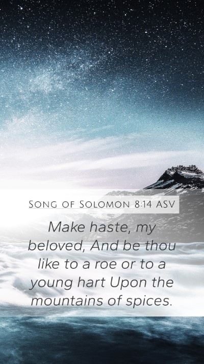 Song of Solomon 8:14 ASV Bible Verse Image