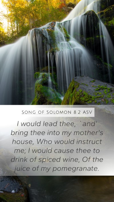 Song of Solomon 8:2 ASV Bible Verse Image