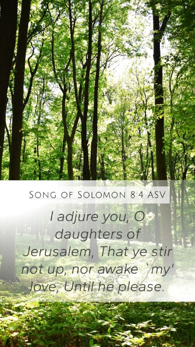 Song of Solomon 8:4 ASV Bible Verse Image