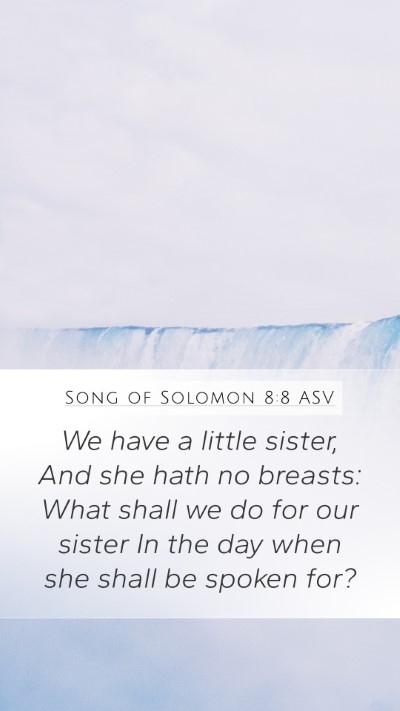 Song of Solomon 8:8 ASV Bible Verse Image