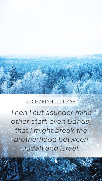 Zechariah 11:14 ASV Bible Verse Image