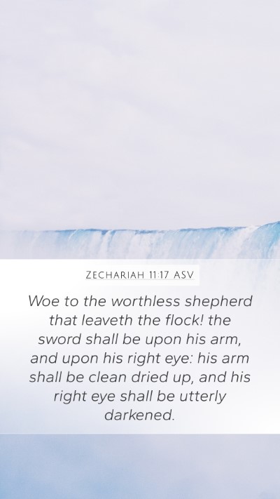 Zechariah 11:17 ASV Bible Verse Image