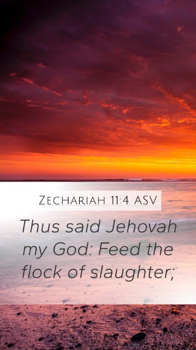 Zechariah 11:4 ASV Bible Verse Image