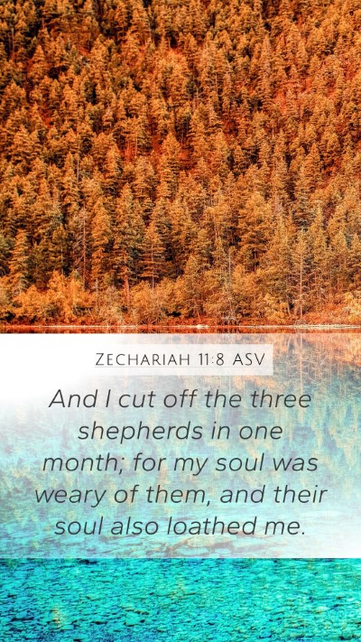 Zechariah 11:8 ASV Bible Verse Image