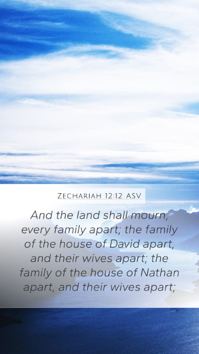 Zechariah 12:12 ASV Bible Verse Image