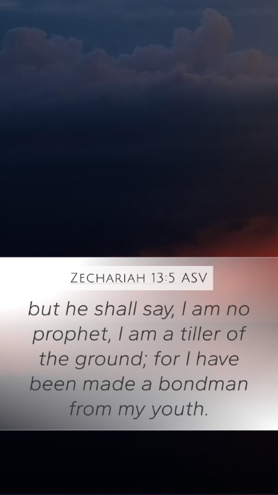 Zechariah 13:5 ASV Bible Verse Image