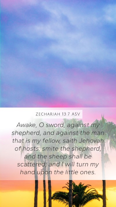 Zechariah 13:7 ASV Bible Verse Image