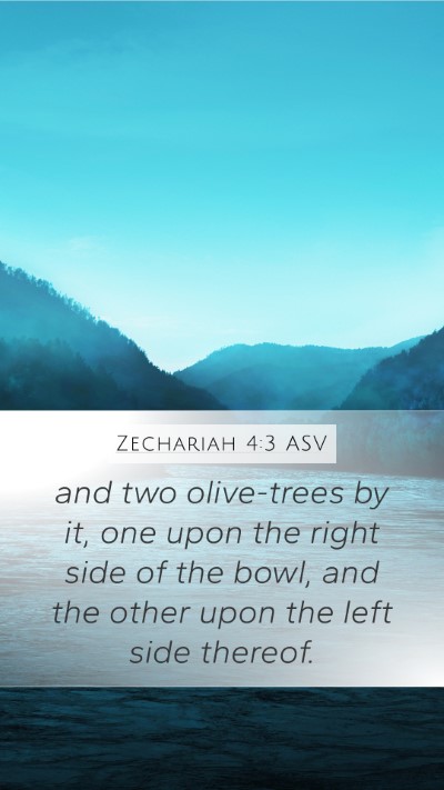 Zechariah 4:3 ASV Bible Verse Image