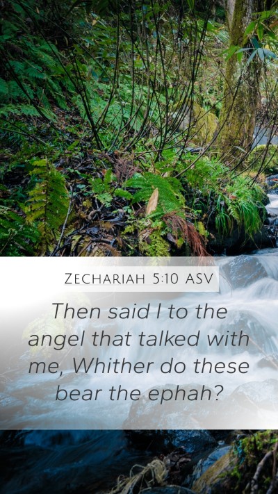 Zechariah 5:10 ASV Mobile Phone Wallpaper - Then said I to the angel that talked with me, - Mobile Bible Verse Wallpaper