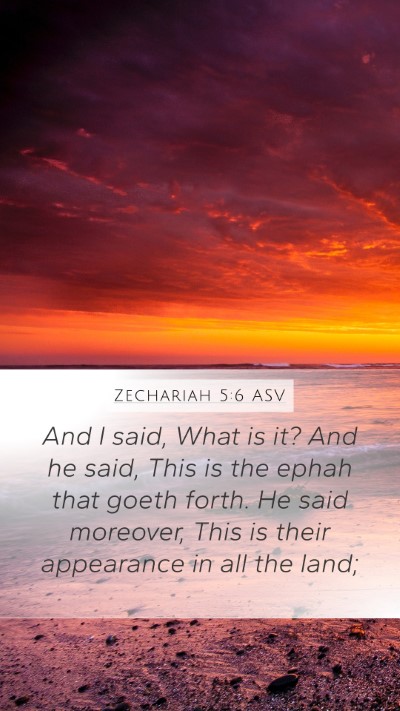 Zechariah 5:6 ASV Bible Verse Image