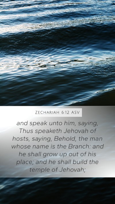 Zechariah 6:12 ASV Bible Verse Image