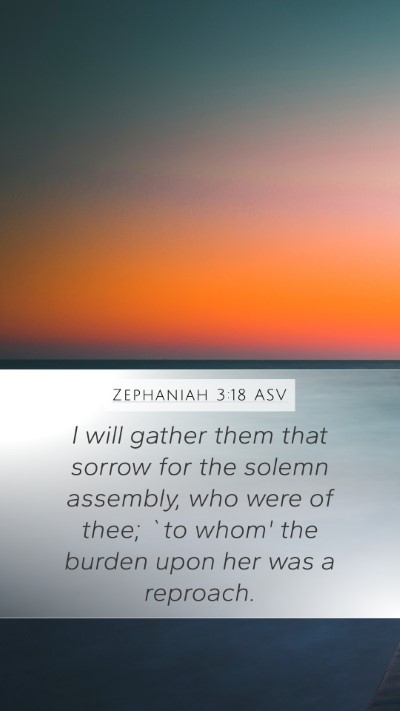 Zephaniah 3:18 ASV Bible Verse Image
